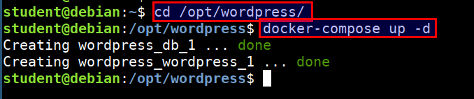 docker compose wordpress