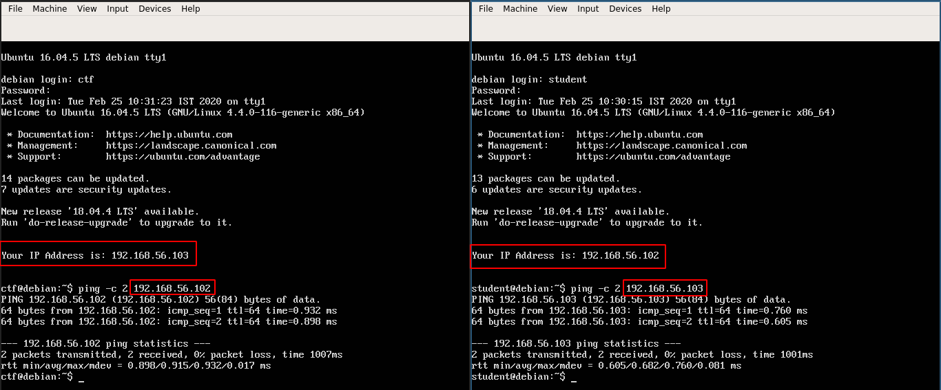 VM Networking