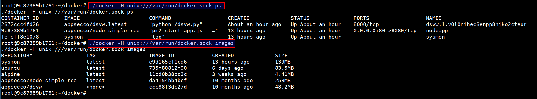 accessing host system using docker socket